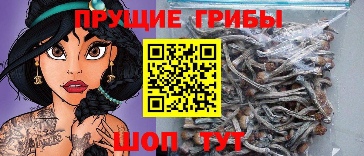 Балтийск  Галлюциногенные грибы Cubensis  Галлюциногенные грибы мухоморы  Вход с VPN 