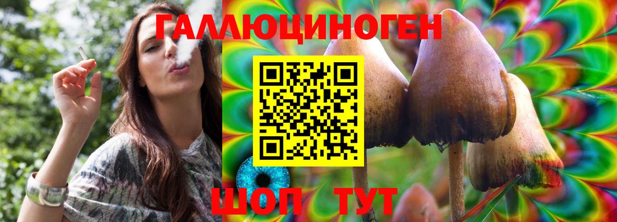 Галлюциногенные грибы GOLDEN TEACHER Балтийск